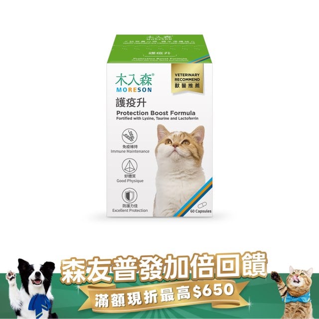 木入森 貓咪護疫升 60顆｜貓咪離胺酸